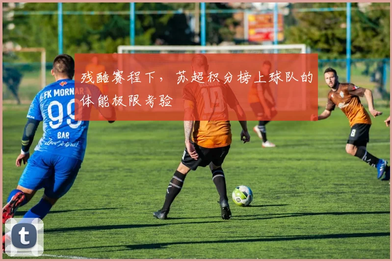 残酷赛程下,苏超积分榜上球队的体能极限考验
